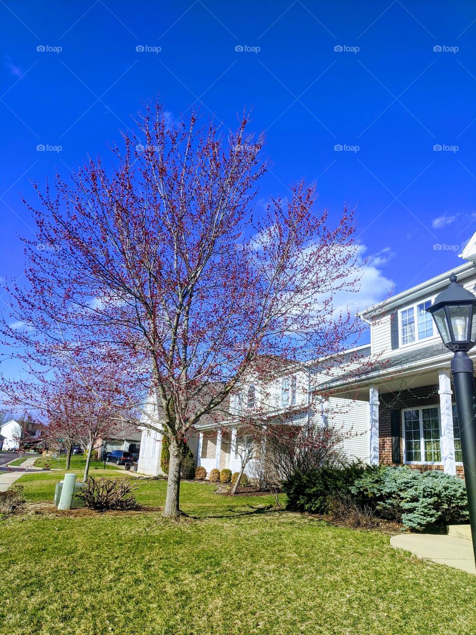 Fall is beautiful ❤️ when fall comes, leaves fall like a rain drop 💧 and going through another phase of season that is essential ❤️❤️❤️