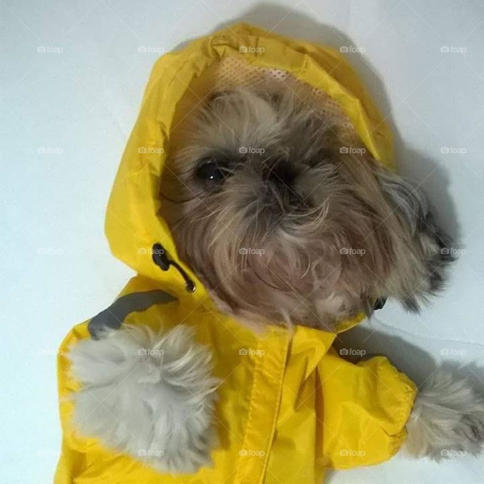 Com capa de chuva