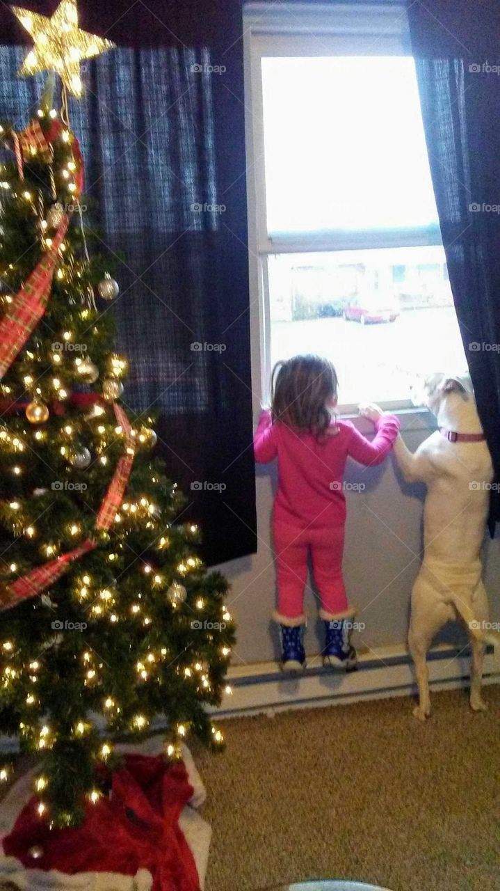 a girl and her best friend on xmas