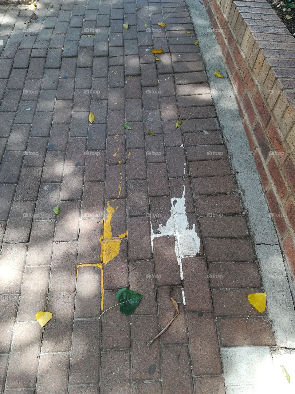 Paint leaf pavements