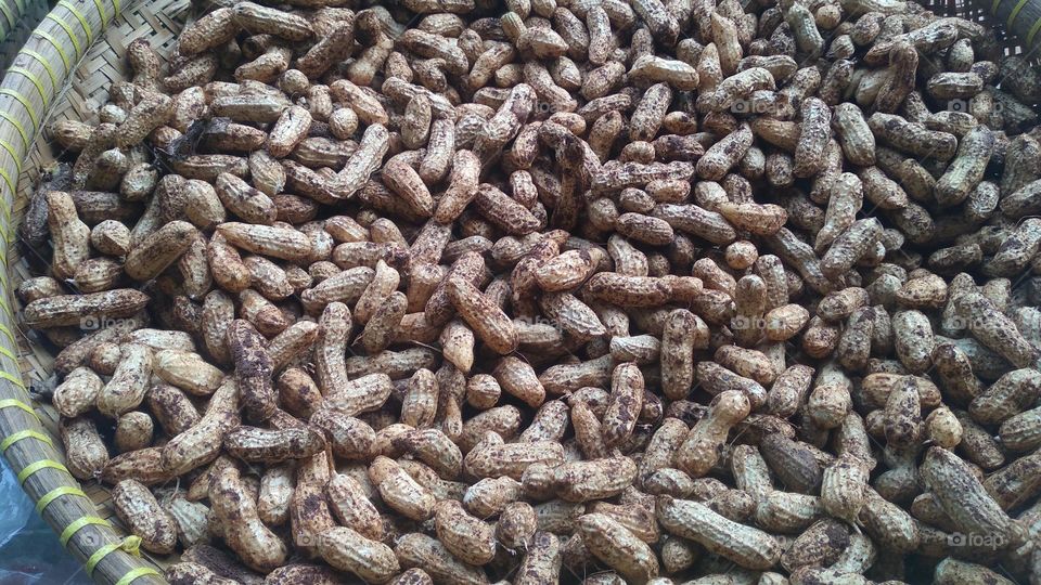 Peanuts being dried in the sun for cooking purposes