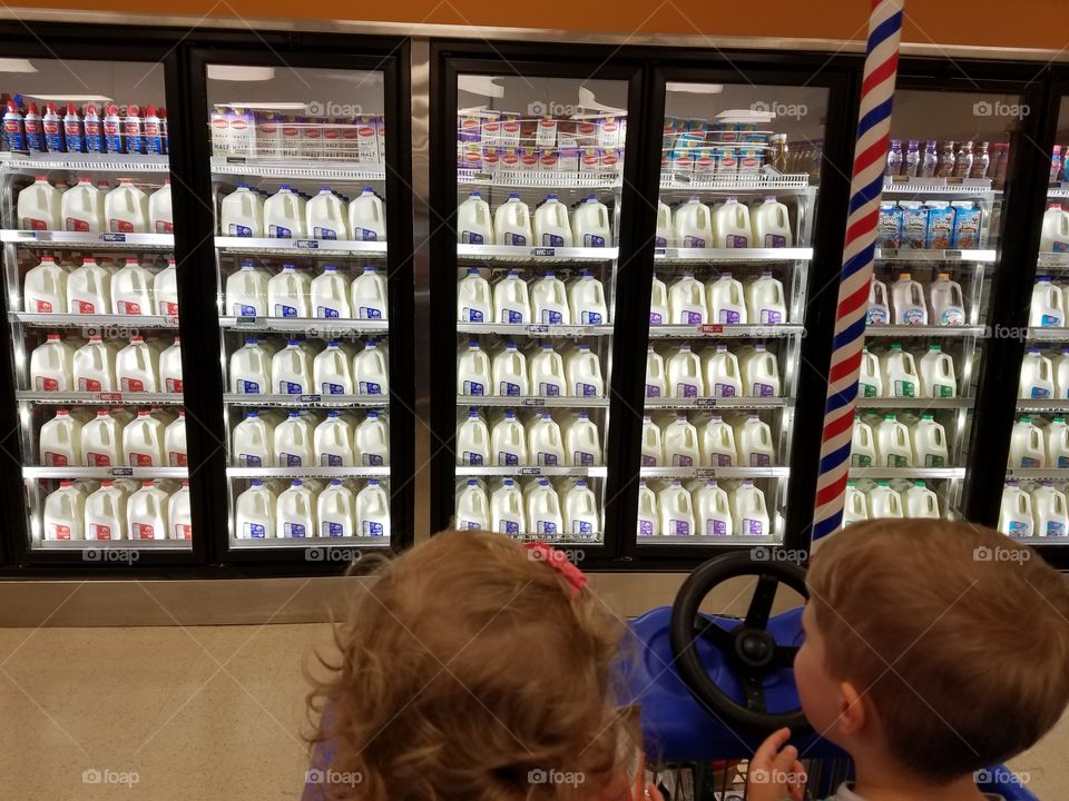 The milk coolers at the grocery store,  a child's dream.