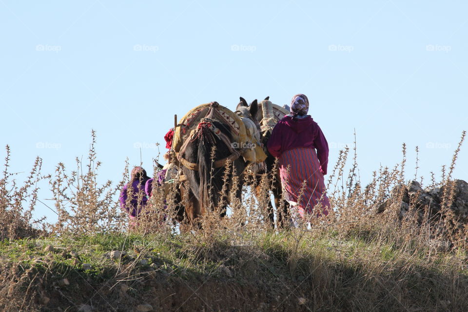 Woman working field with donkey 
