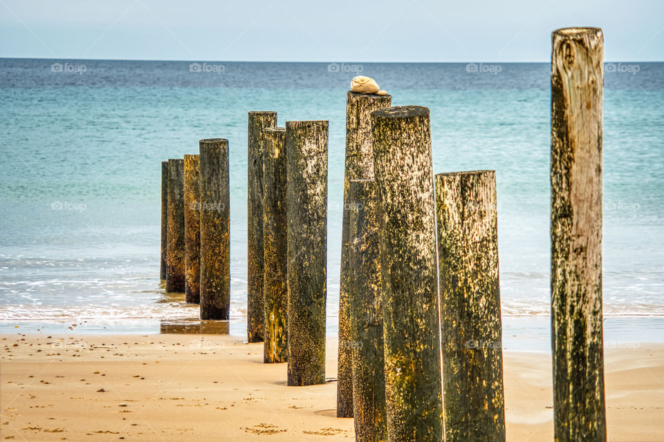 Poles in the sand