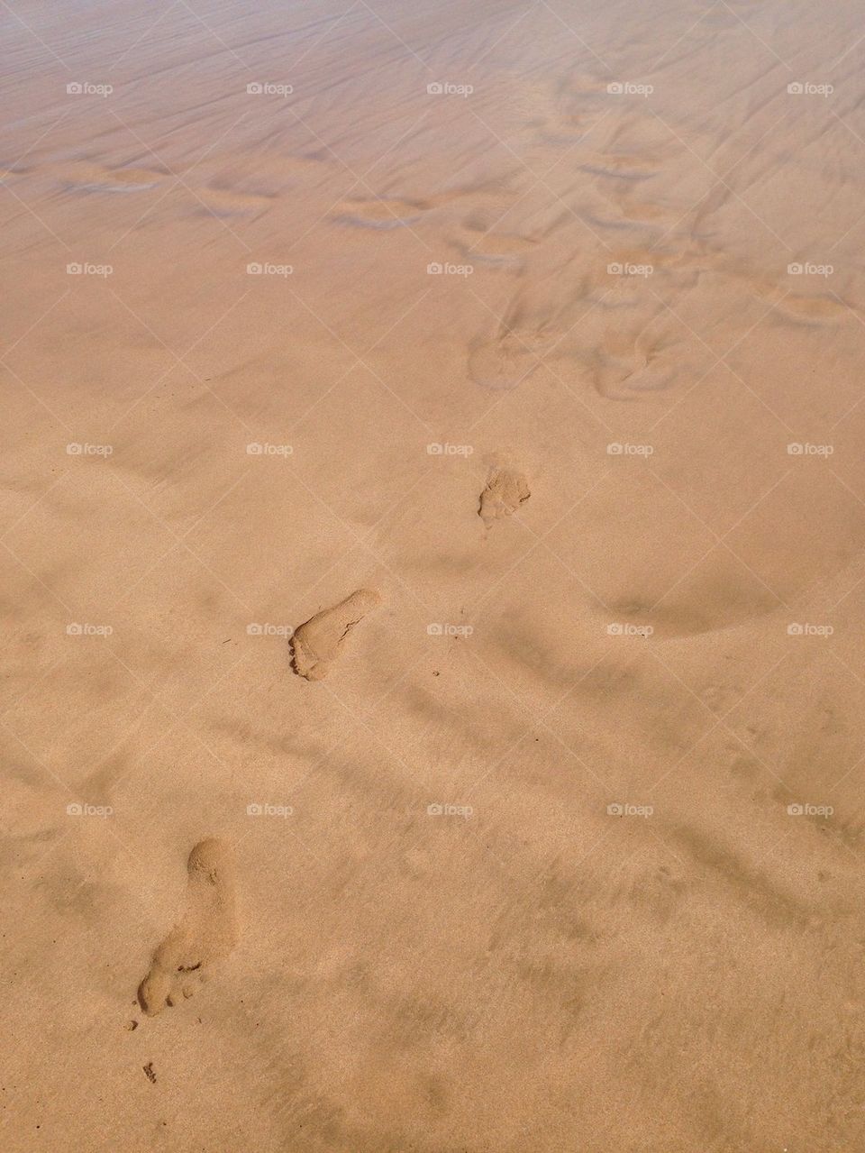 Foot prints