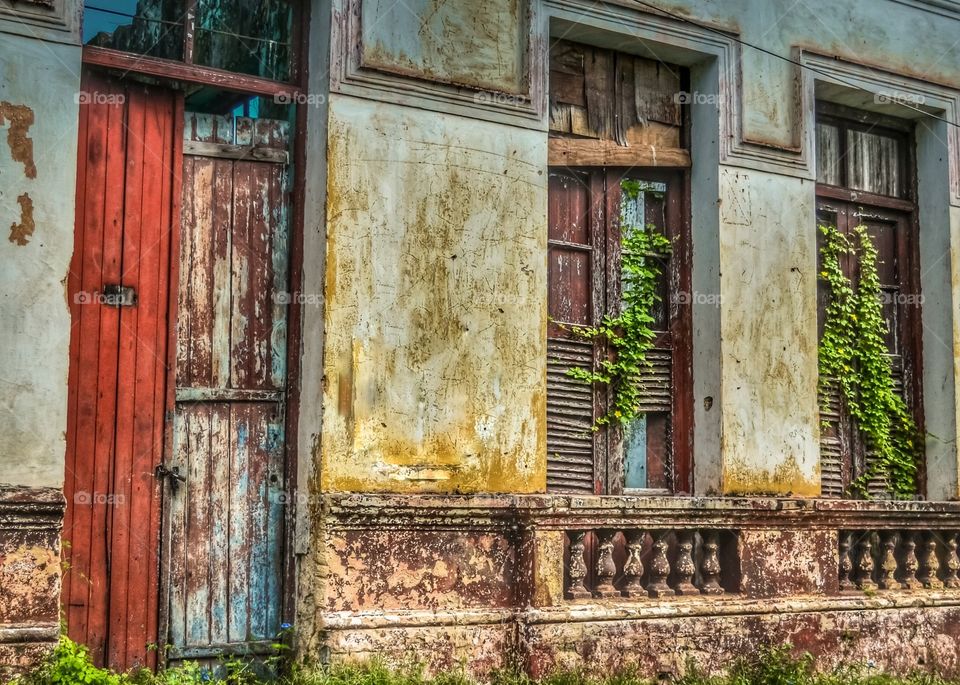 door and windows