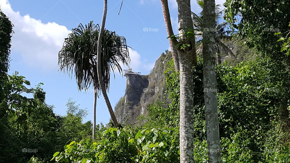 Two Lovers point view from the jungle