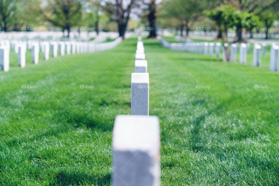 Cemetery 