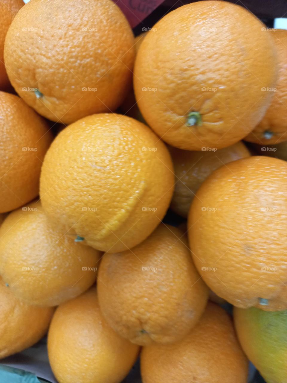 Laranja Bahia. É a famosa Laranja com umbigo. Ela, apresenta uma saliência na casca, que a torna facilmente identificável, mas é também  conhecida por outro atributo, ela não  tem sementes.