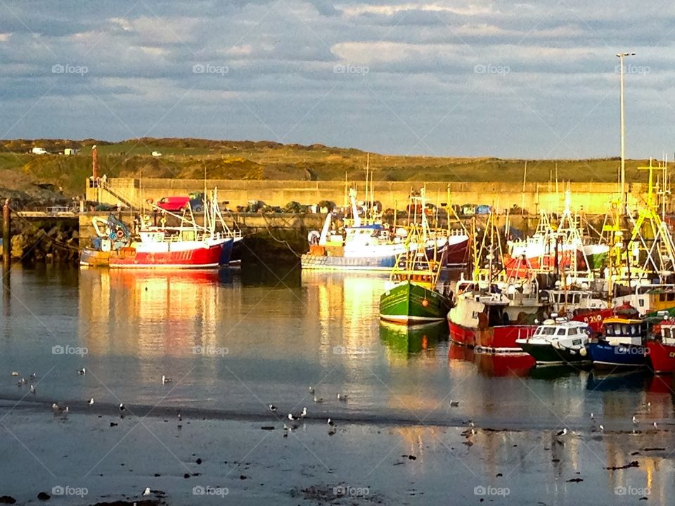 Fishing harbour