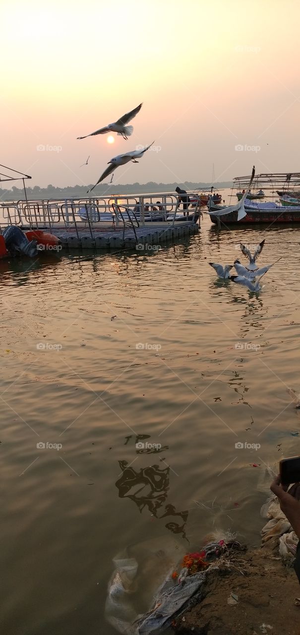 evening laughter scene