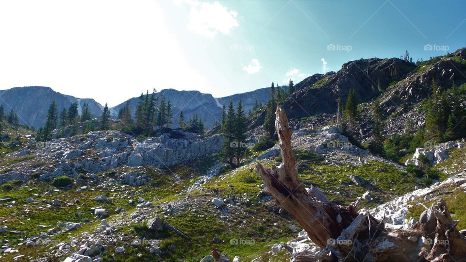 The Snowy Mountain Range