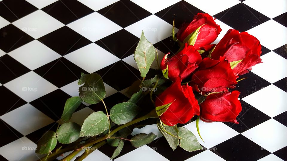 red roses on black and white checkers
