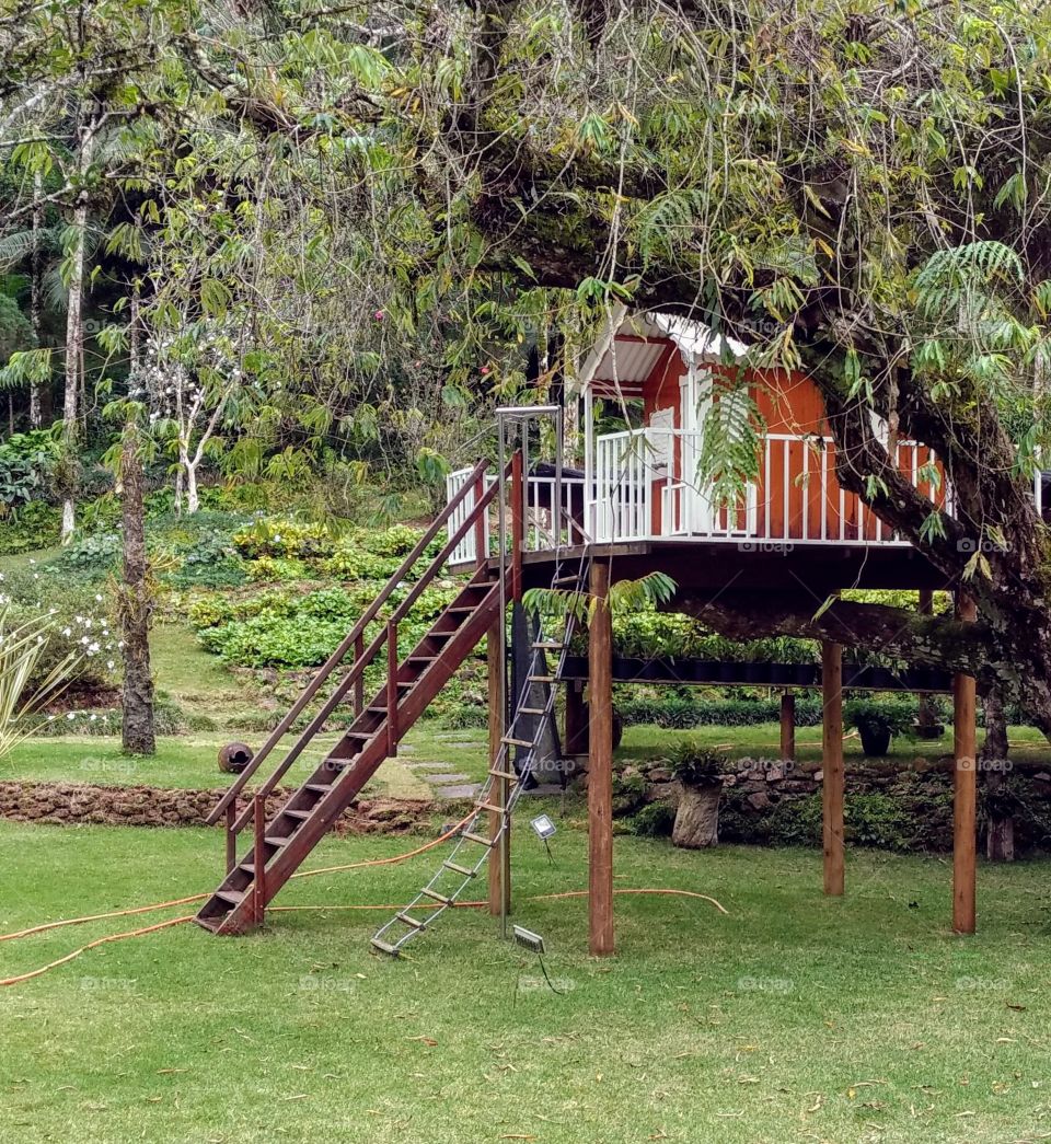 casa na árvore de jardim