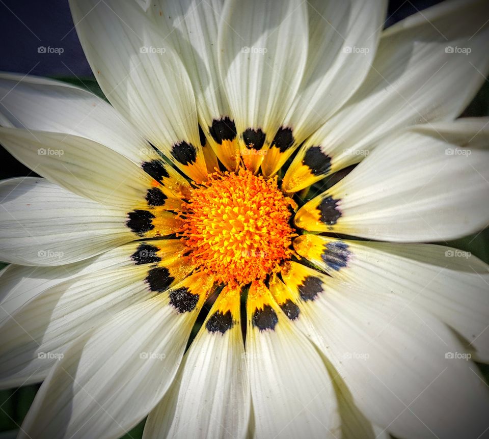 brightetsideofaugust