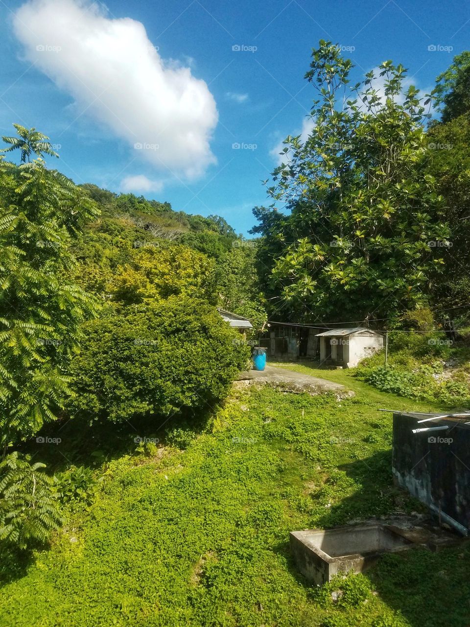 Jamaican Country Side