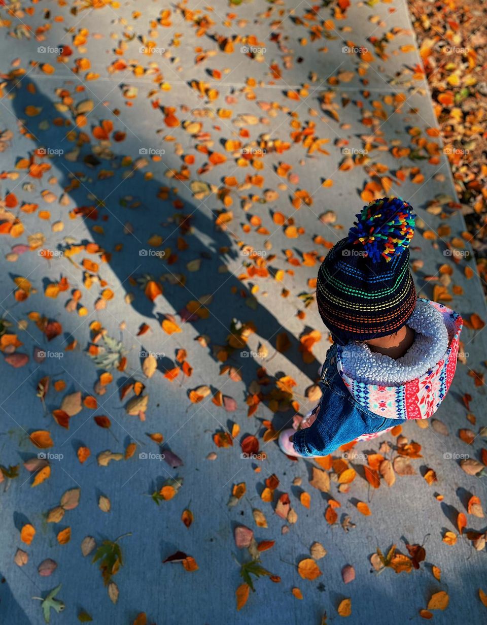 Toddler girl looking at shadow, toddler girl in the fall, fall leaves surrounding toddler, toddler walking in leaves, shadow of a toddler, point of view watching toddler discover her shadow, self awareness 