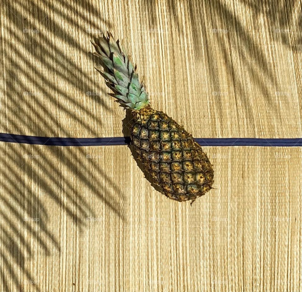 pineapple