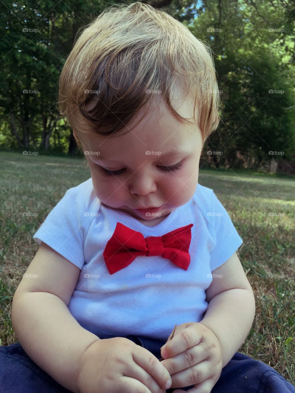 Little Bow tie 