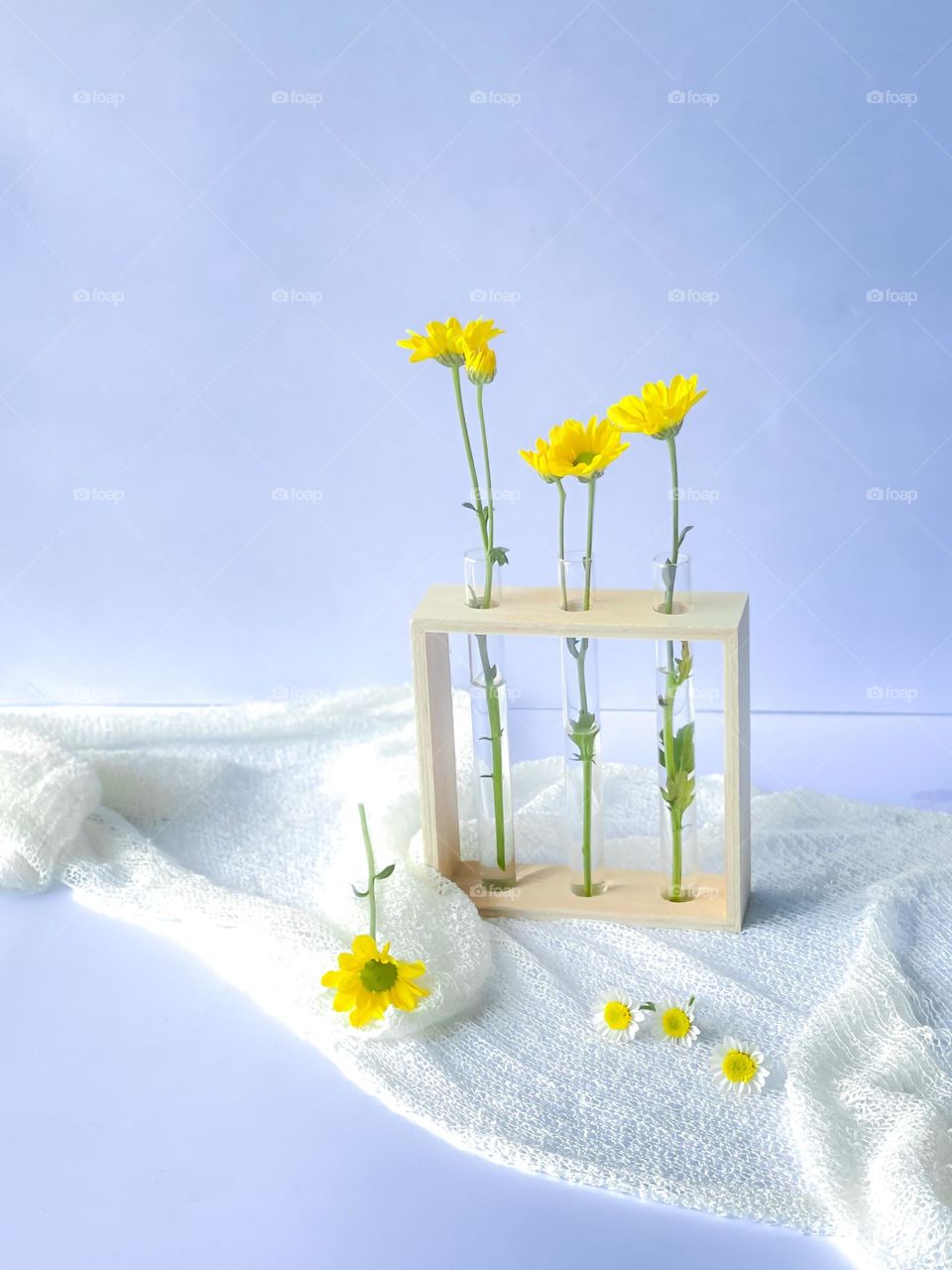Yellow blooming daisies in glass jars with white ambiance around it