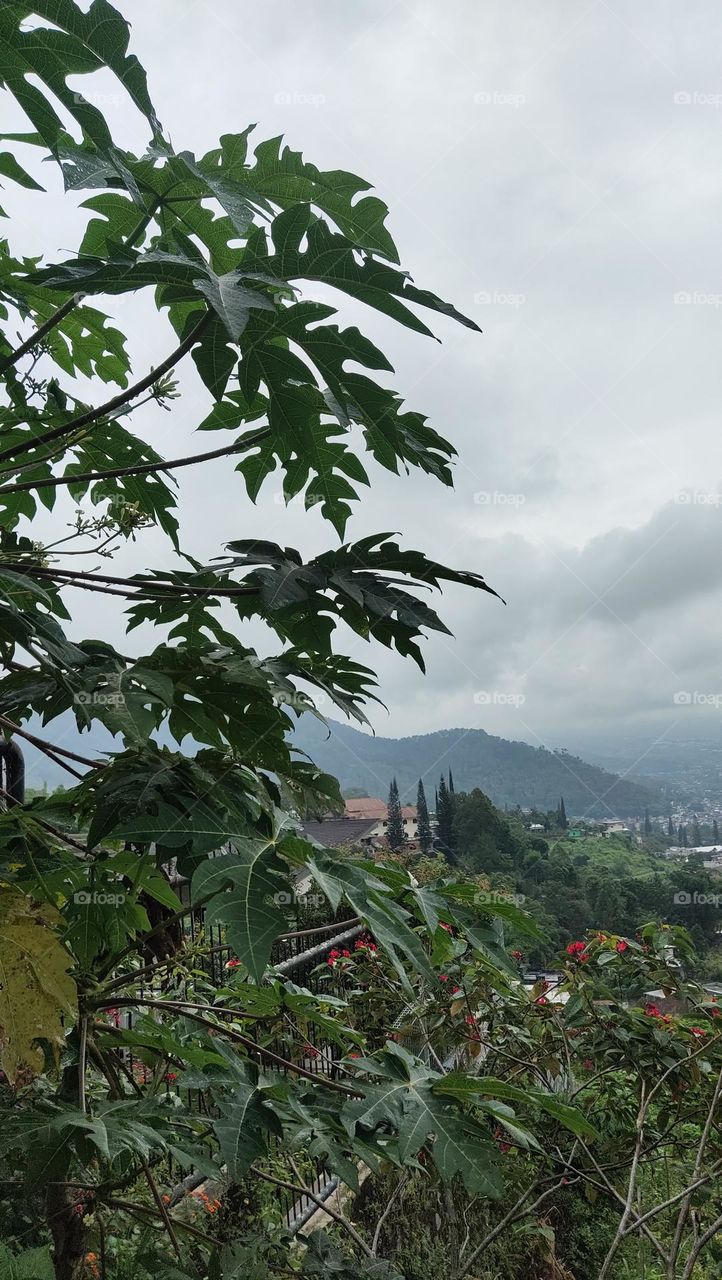 cuaca pegunungan batu