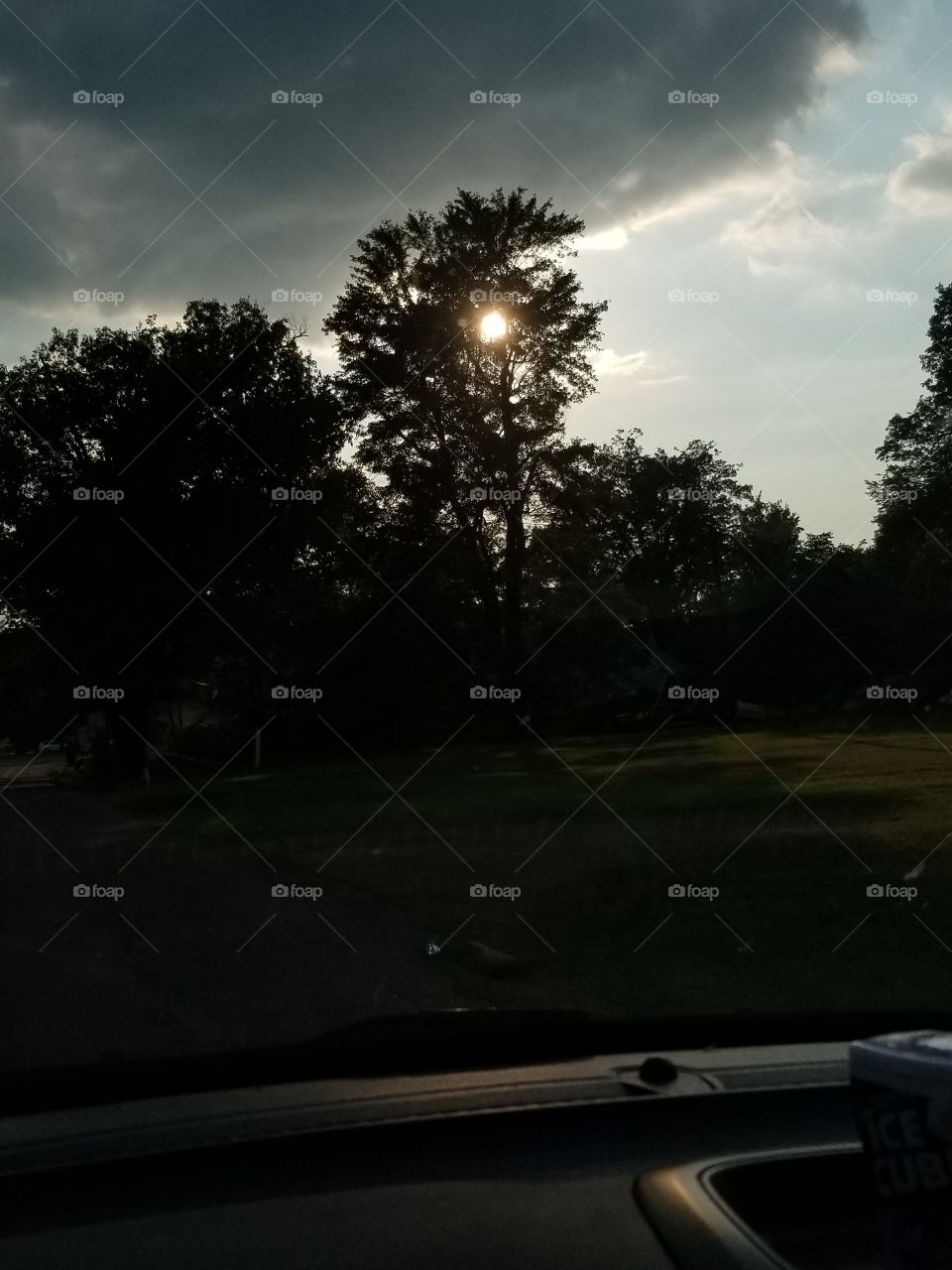 Sunshine through the Tree