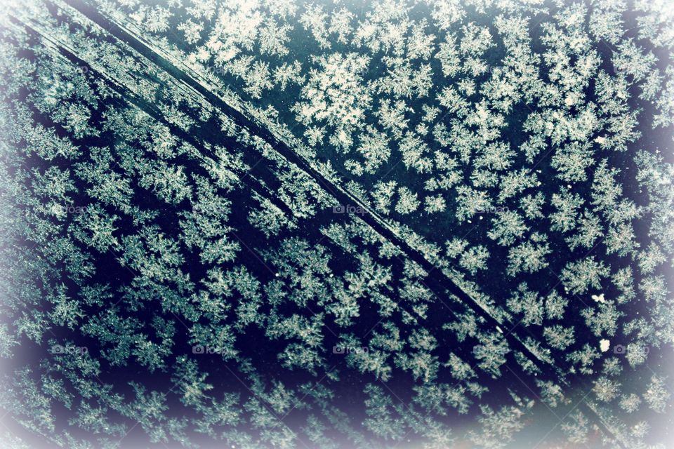 snowflakes on the windshield