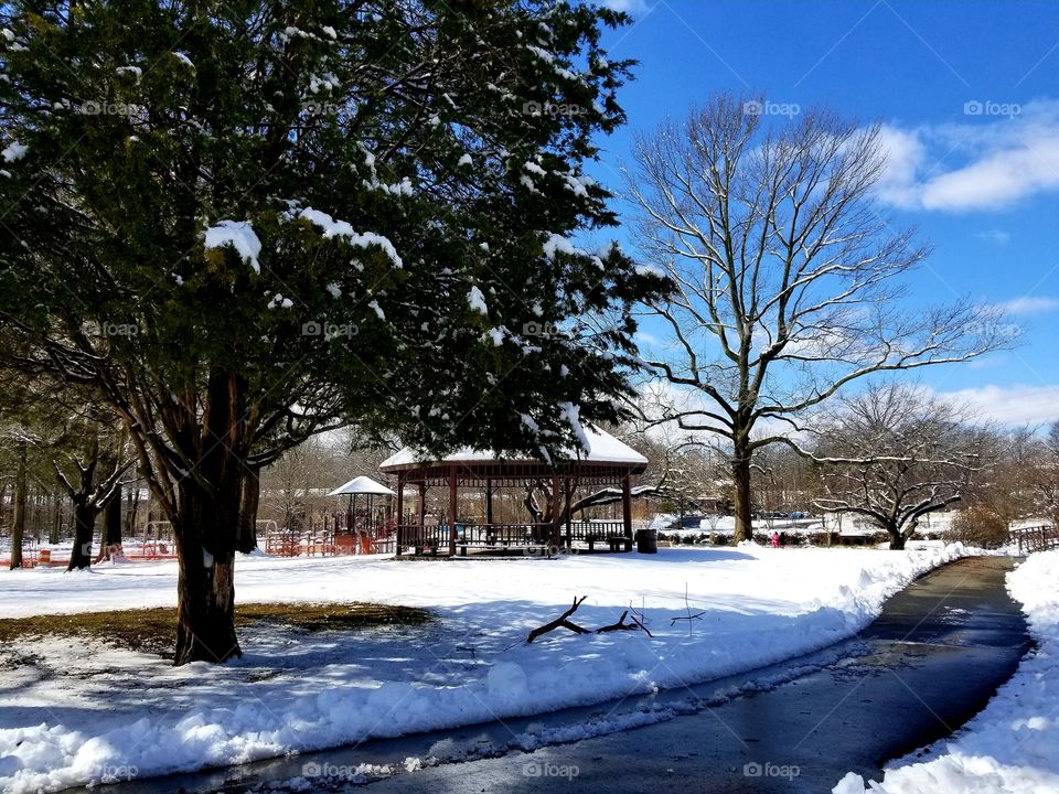 It was the day after the snow storm. The park was snow covered but walkways are clear.