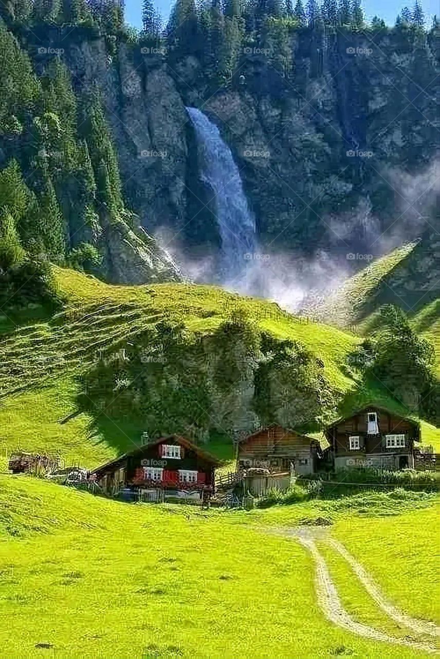 A very beautiful picture, and there is no better picture than it. There is no better picture of green herbs and colorful, red and white roses than it. Glory be to God, the natural and picturesque view, and there is no more