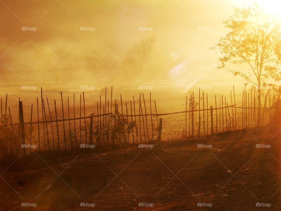 The shape of the light