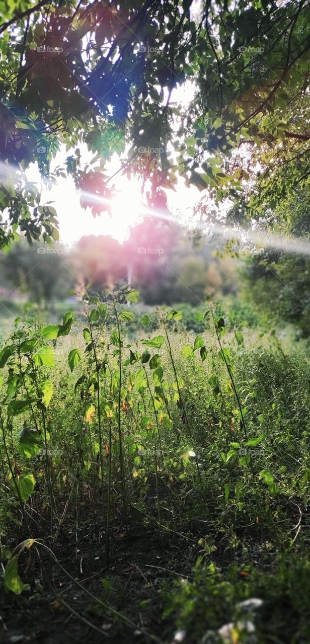 upload your photo of the week