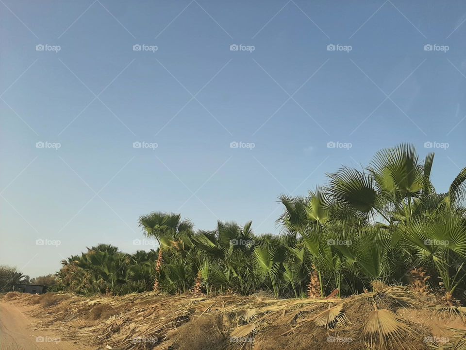 Please make me happy, I am poor, I need your help with support