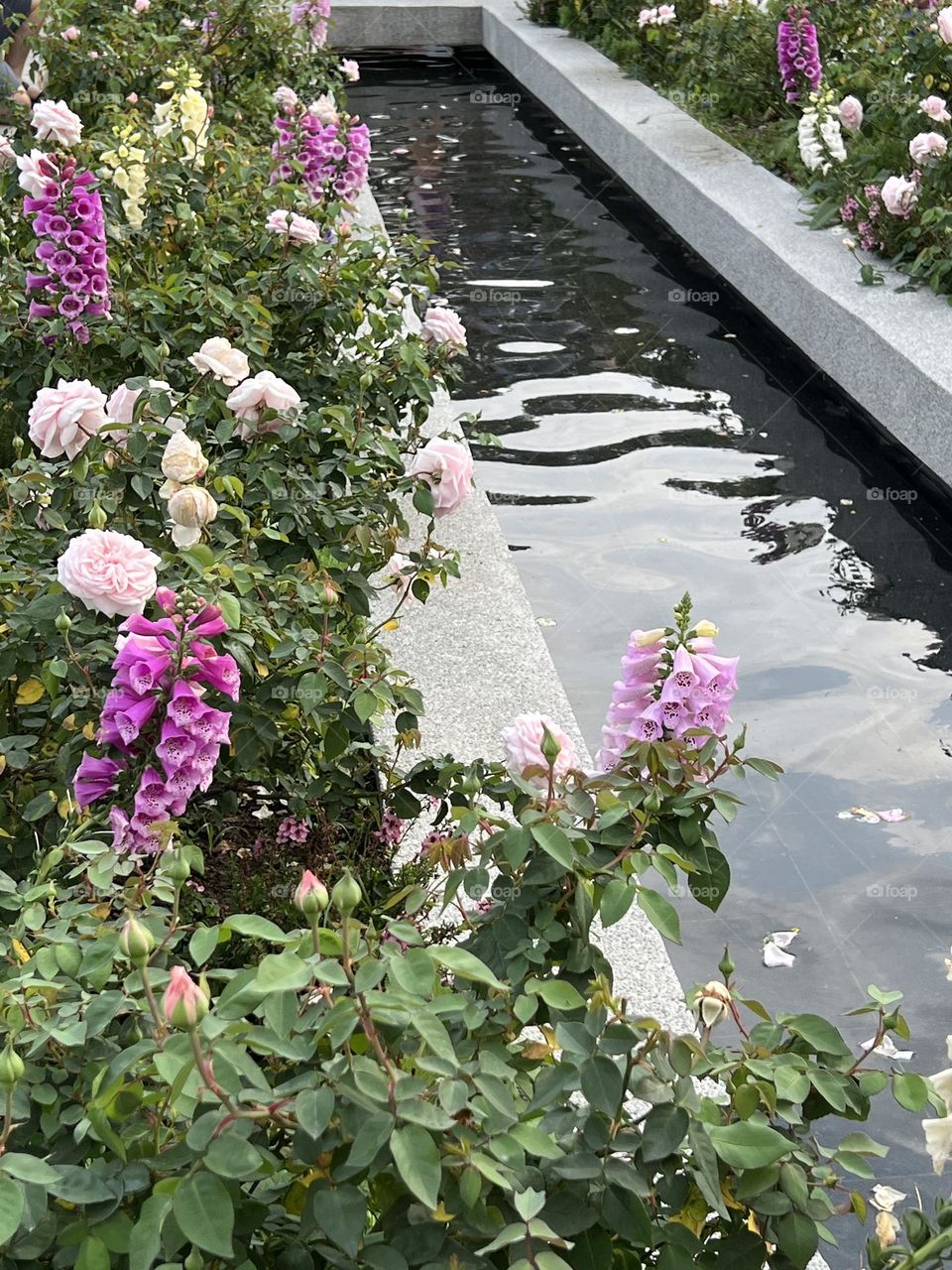 Flowers in Yuanshan Flower Expo Park Taipei