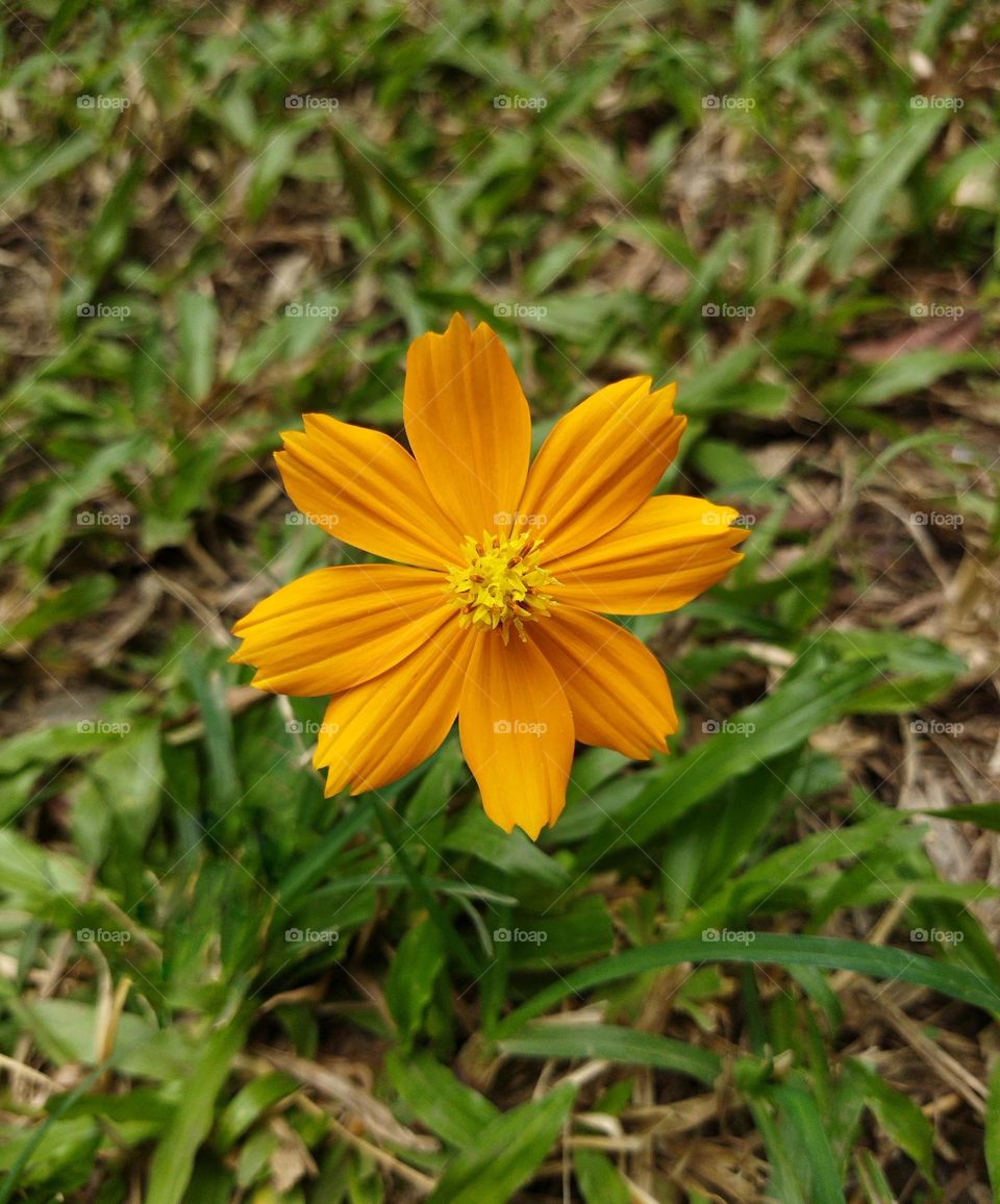 Editors' Choice: Photo of the Week