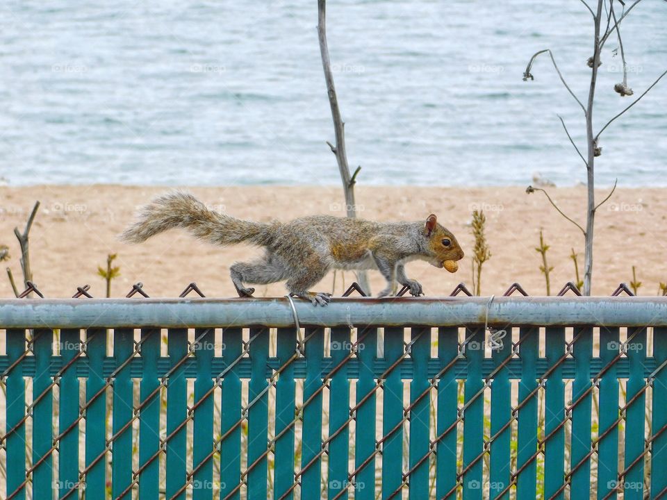 Savin Rock Boardwalk 