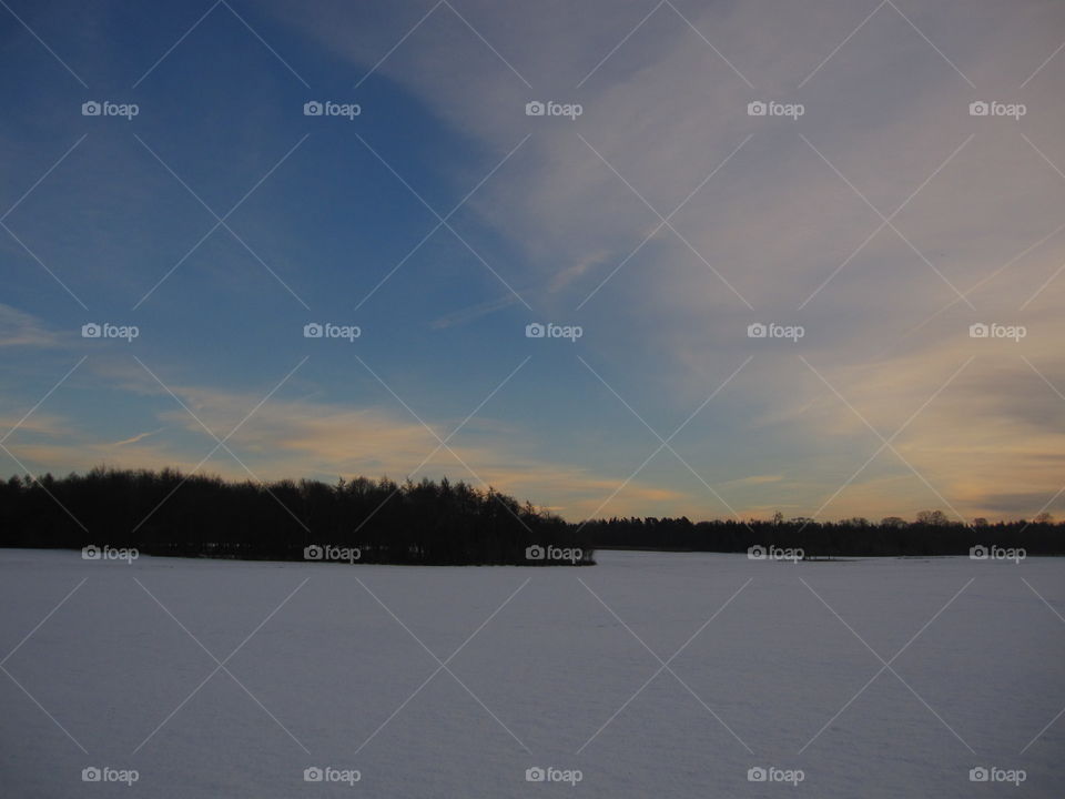 Landscape, Lake, Dawn, Tree, Water