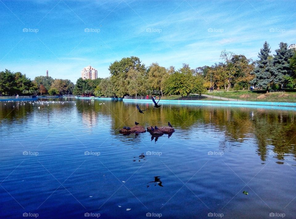 lake in the park озеро в парке