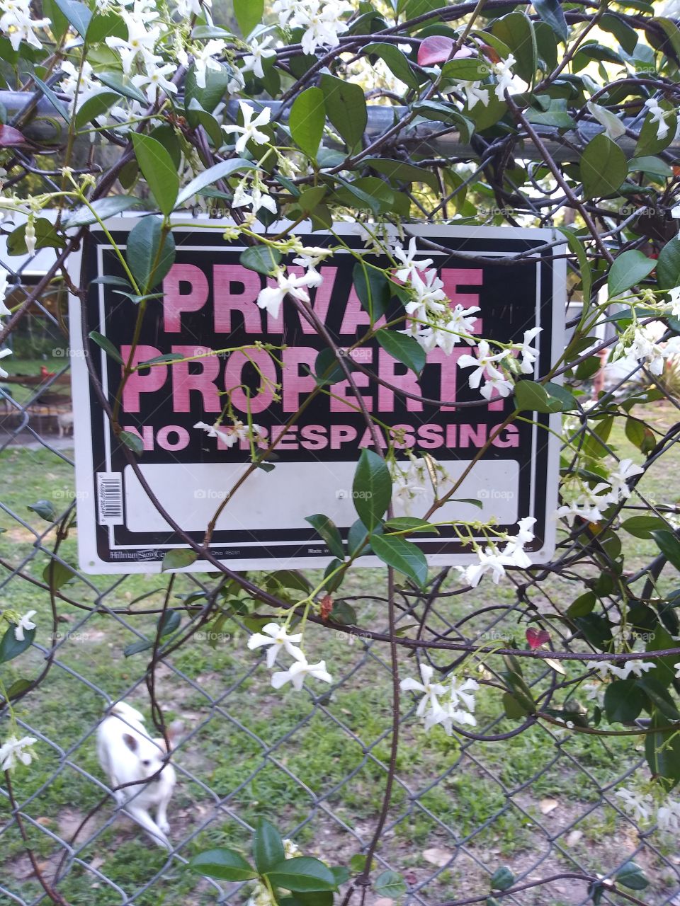 Private Property