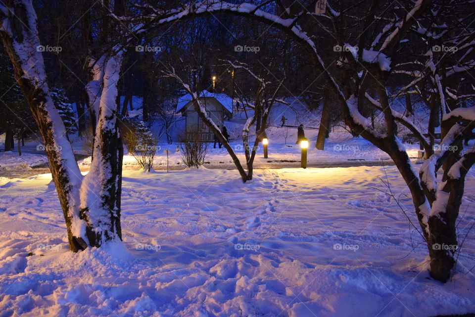 Winter evening
