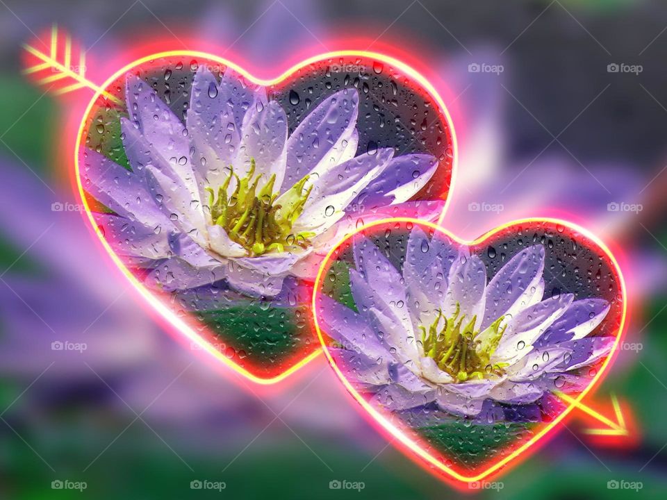 Los colores de verano