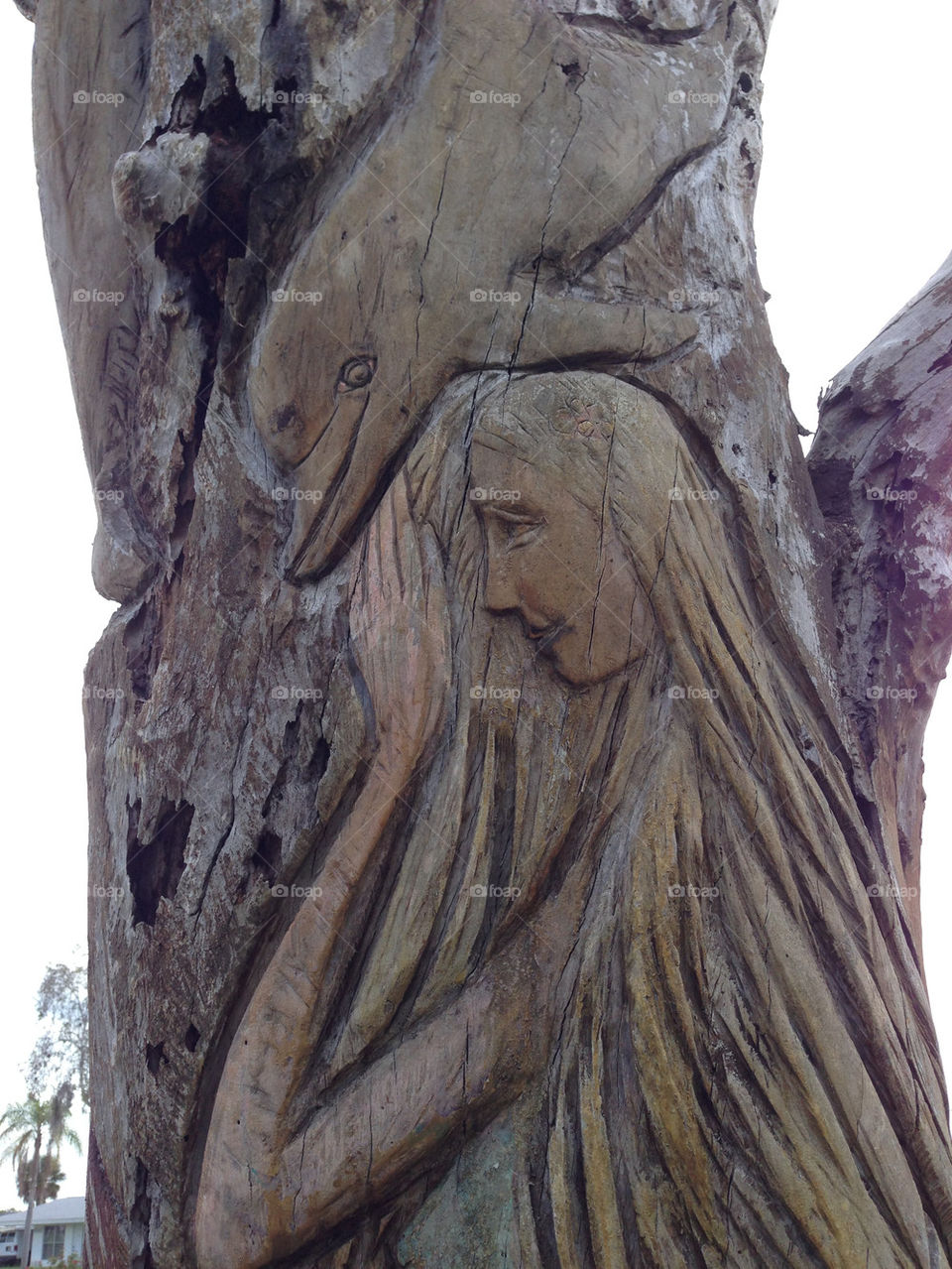 Carved tree