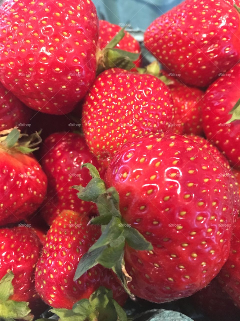 Fresh picked strawberries 