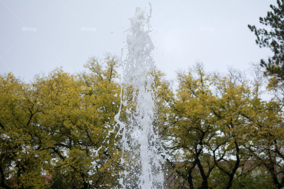 Fountain against tree at park