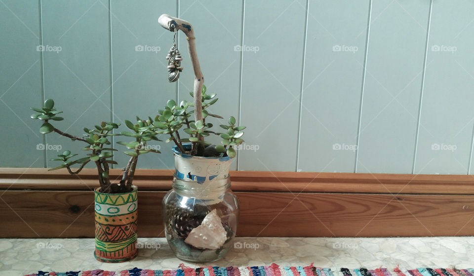 Flowerpots with crassula and   a rug