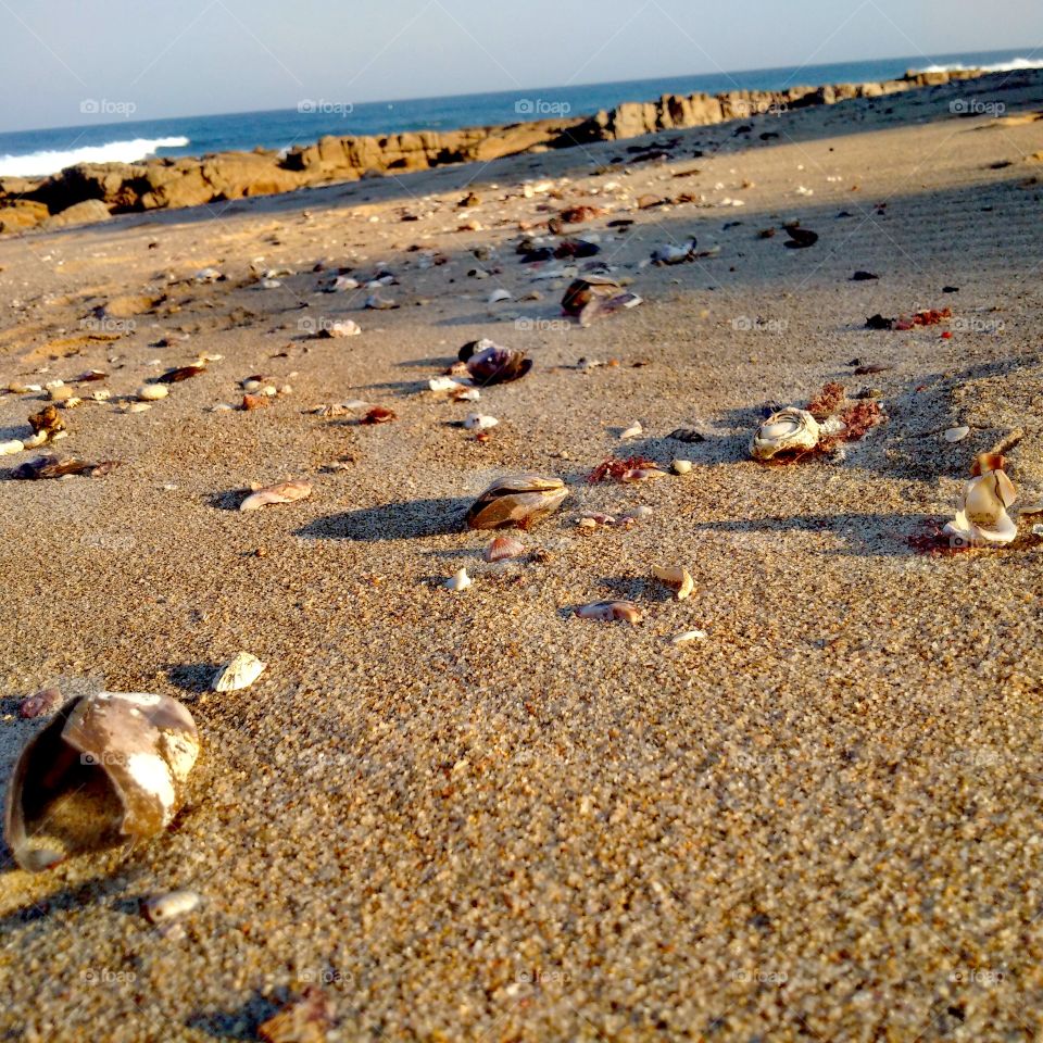 Sandy white beach with sea shells at sunset.