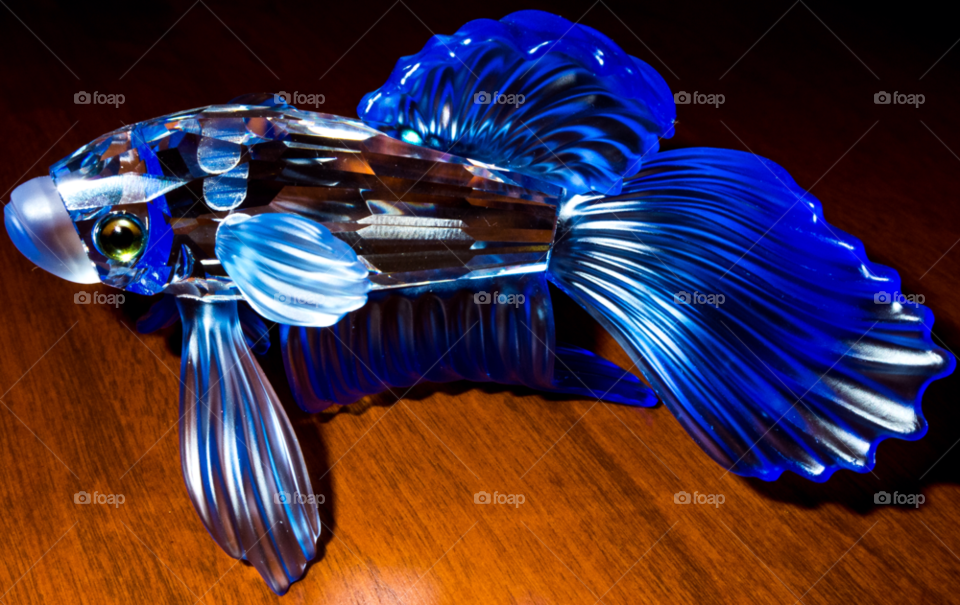 fish fighter siamese crystal by delvec