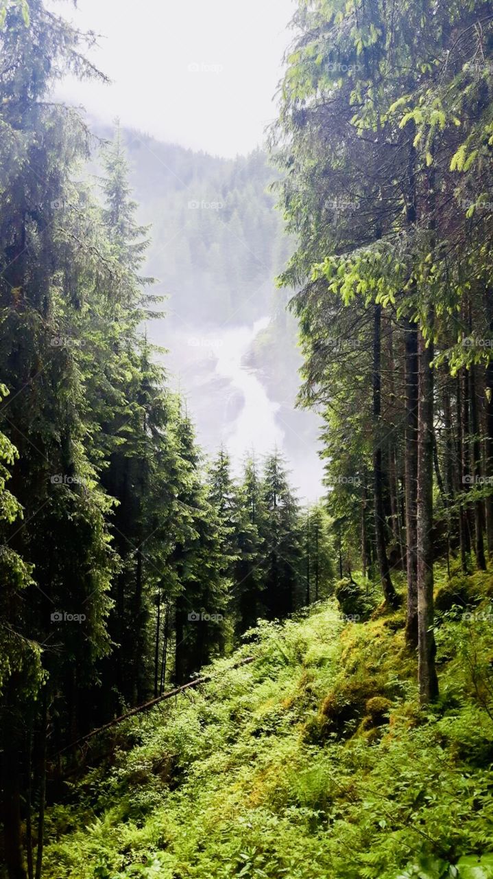 A view to a waterfall through the forrest