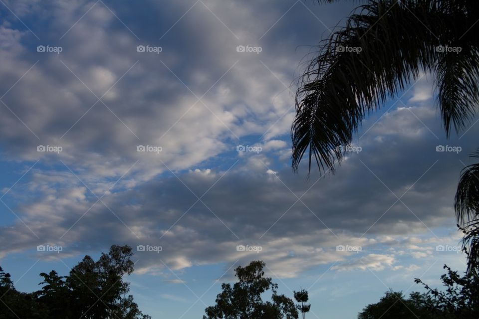 Rain Clouds