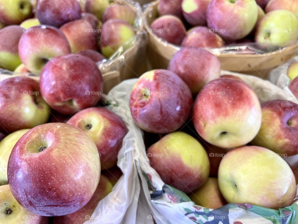 The spartan apples - Freshly pick 