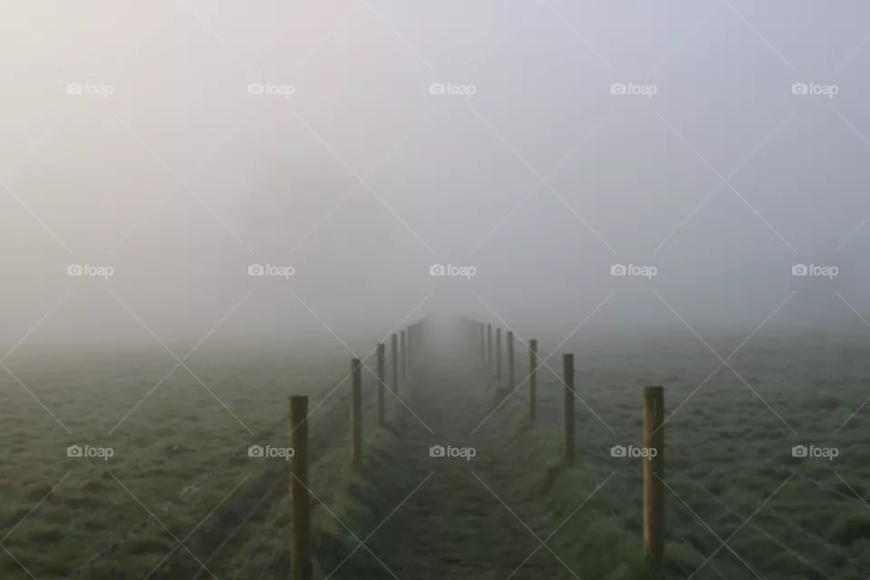 fog